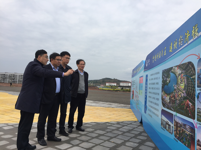 江蘇省住建廳副廳長宋如亞一行考察岳池城東新區(qū)PPP項(xiàng)目1_副本.jpg